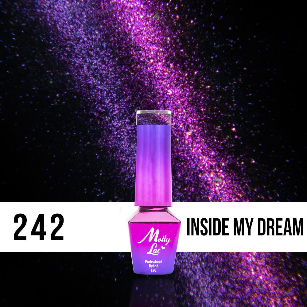 242 Inside My Dream - Chameleon 5D