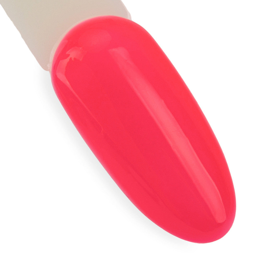 435 Coral Shell - Limited Edition