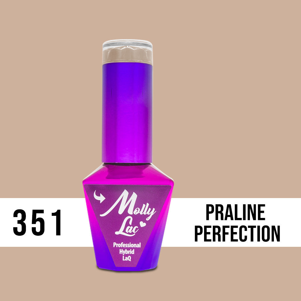 351 Praline Perfection - Choco Dreams