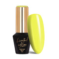 411 Morning Sunray - Limited Edition