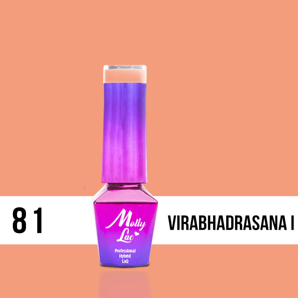 81 Virabhadrasana - Yoga