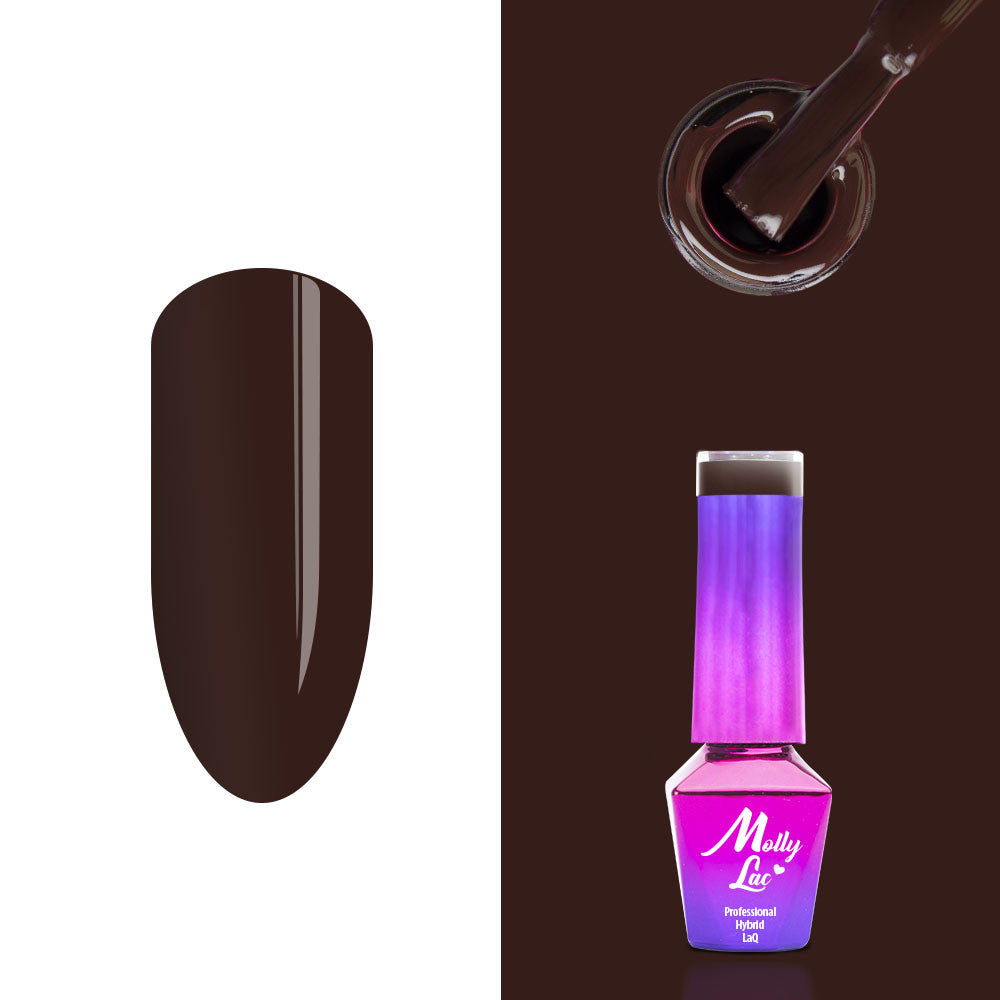 358 Cocoa Cookie - Choco Dreams