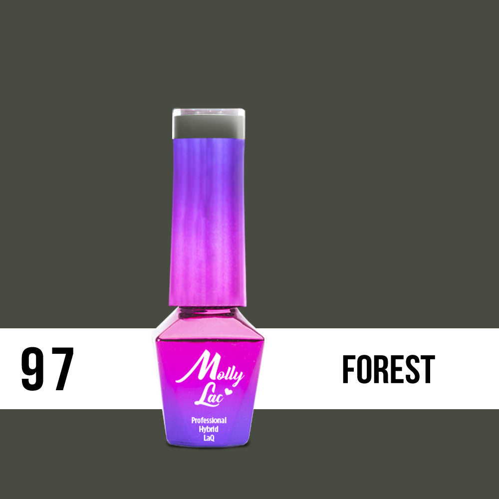 97 Forest - Rest & Relax