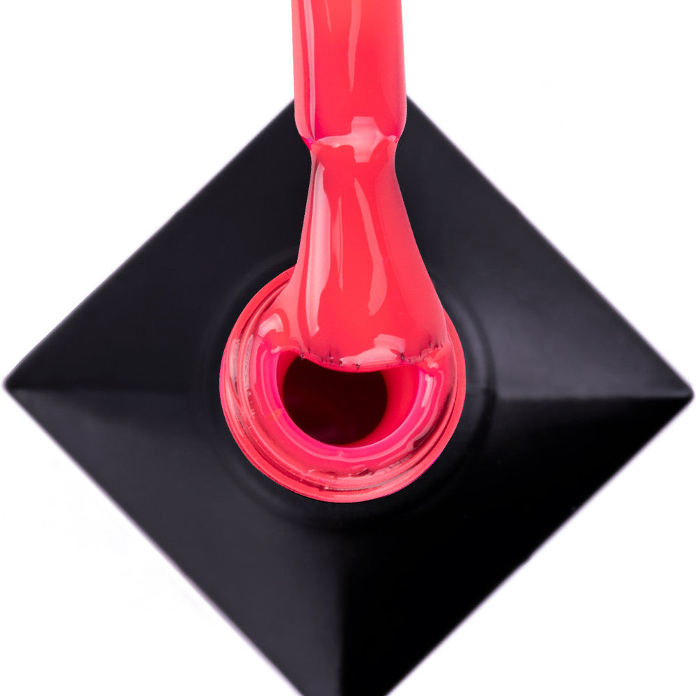 435 Coral Shell - Limited Edition