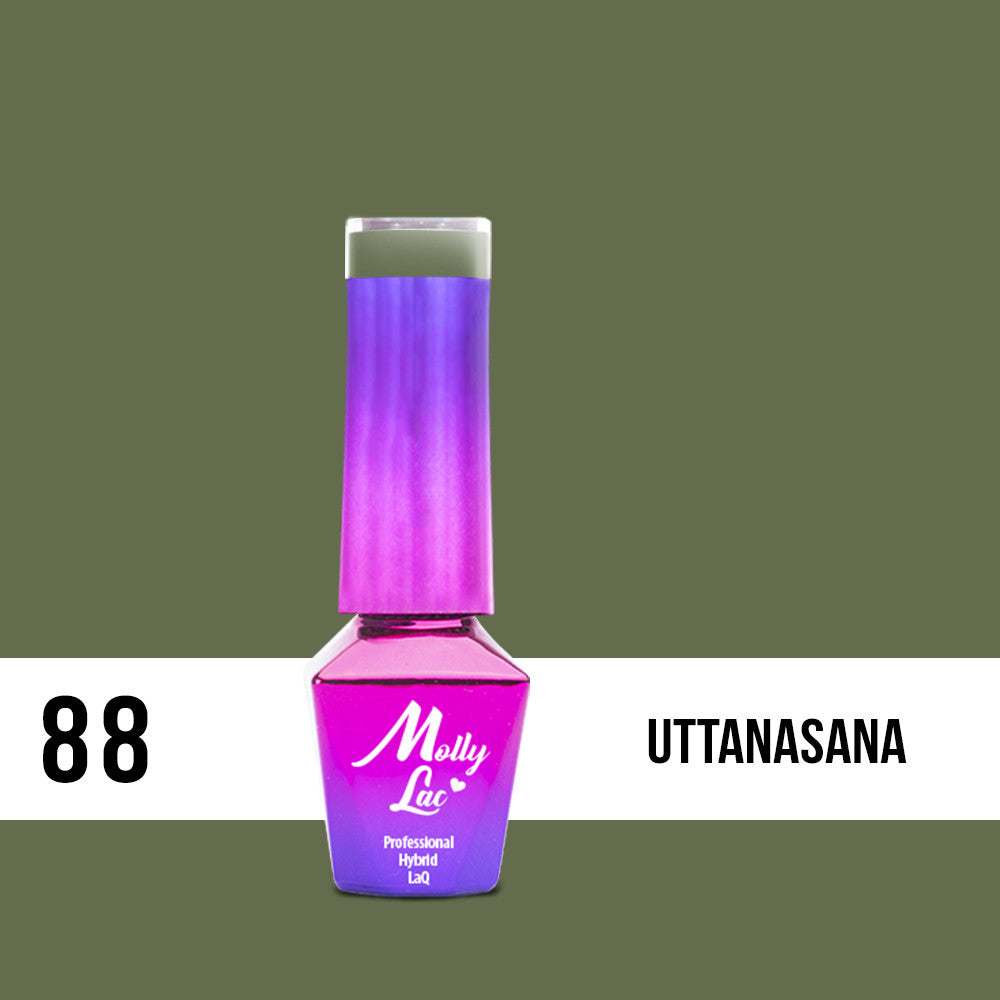88 Uttanasana - Yoga