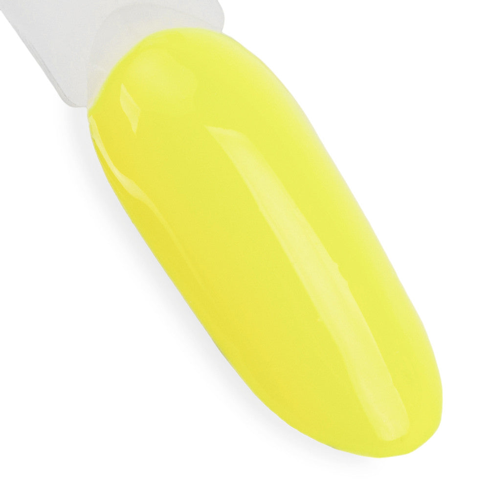 411 Morning Sunray - Limited Edition