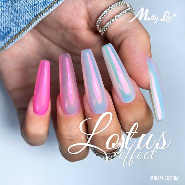 Lotus Effect
