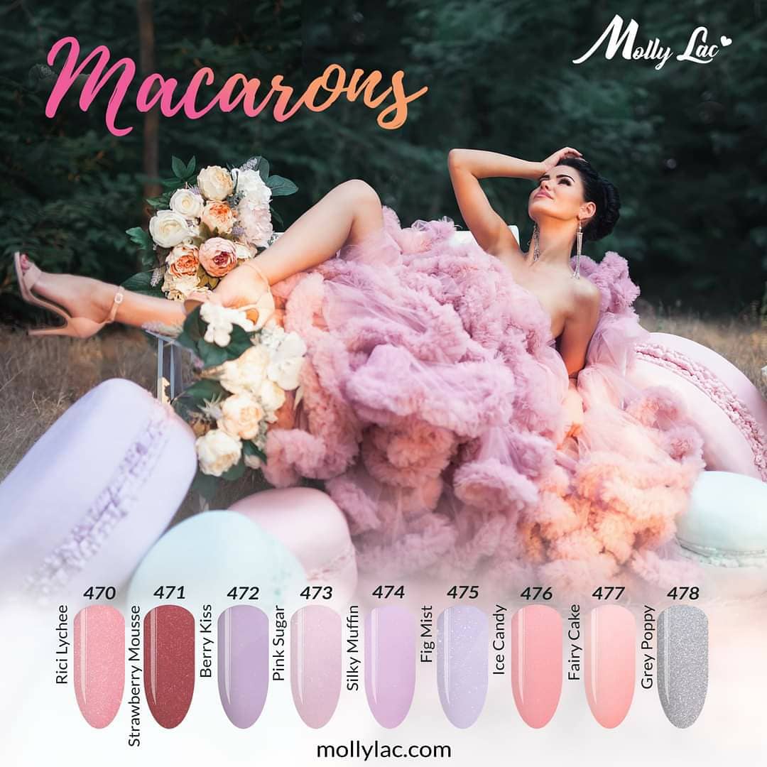 474 Silky Muffin - Macarons 