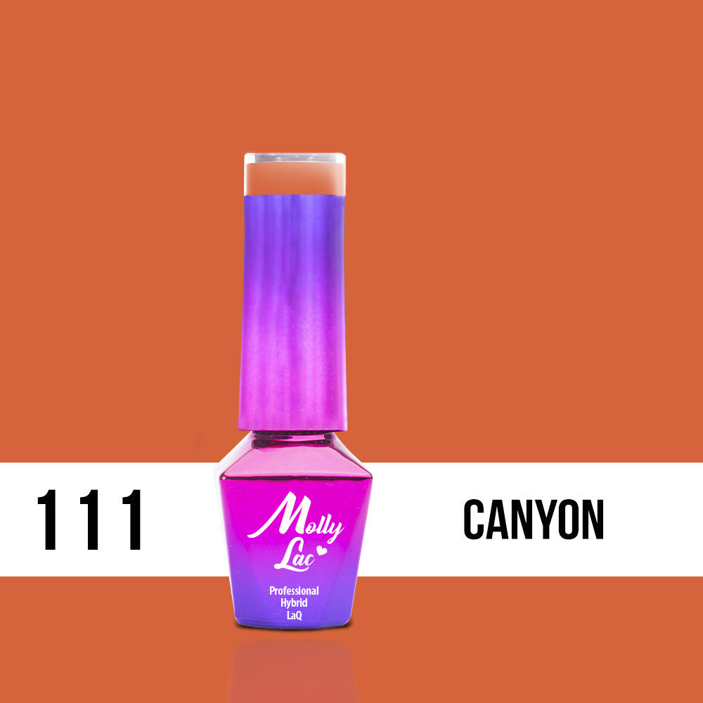 111 Canyon - Welcome To Ibiza 