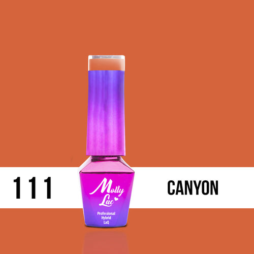111 Canyon - Welcome To Ibiza 