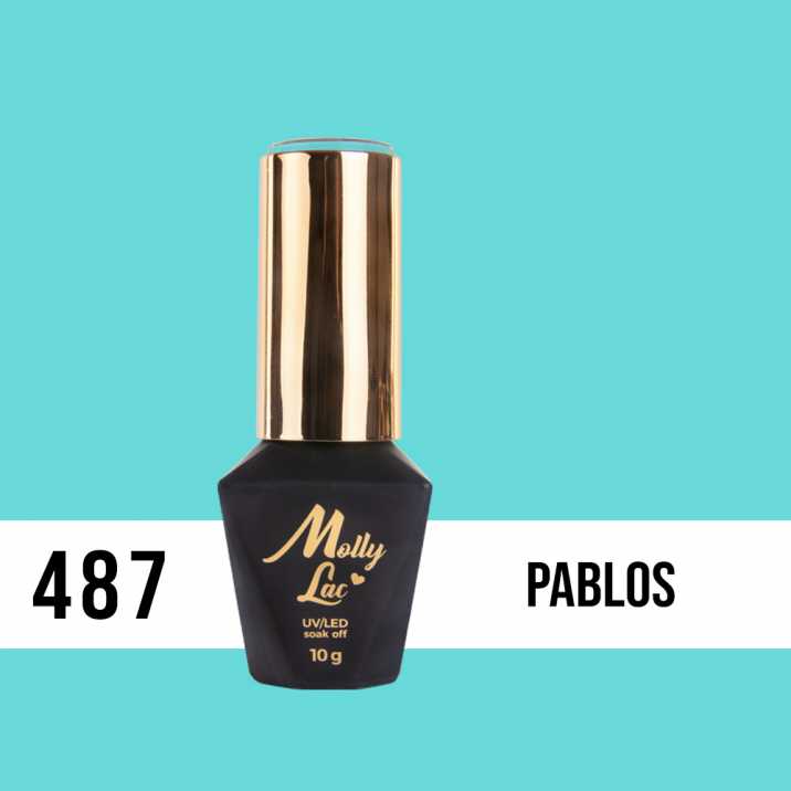 487 Pablos - Provocator By Pablo Rozz